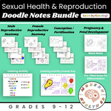 Sexual Health / Sex Ed / Sexuality / Reproductive Anatomy 