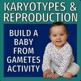 Sexual Reproduction Activity Build a Baby from Egg and Spe