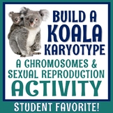 Sexual Reproduction Activity Build a Karyotype with Chromo