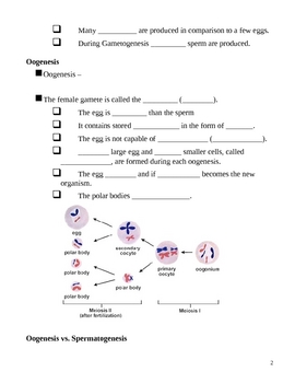 Sexual Reproduction in Animals Notes Outline Lesson Plan by Lisa Michalek