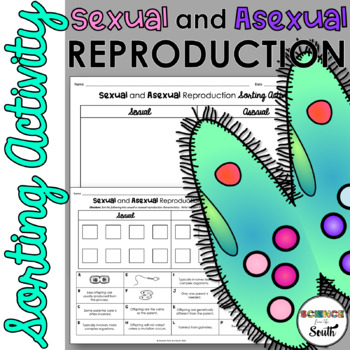 Preview of Sexual and Asexual Reproduction Sorting Activity Worksheet in Print and Digital