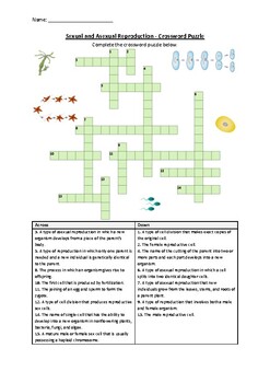 Preview of Sexual and Asexual Reproduction - Crossword Puzzle Worksheet (Printable)