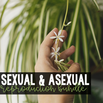 Preview of Sexual and Asexual Reproduction BUNDLE