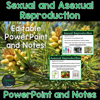 Preview of Sexual and Asexual Reproduction - PowerPoint and Notes
