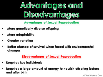 asexual disadvantages ecdn sexual