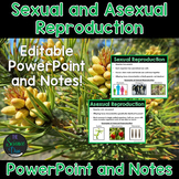 Sexual and Asexual Reproduction - PowerPoint and Notes