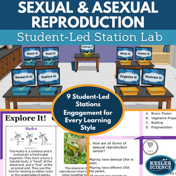 Preview of Sexual and Asexual Reproduction Student-Led Station Lab