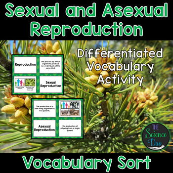 Preview of Sexual and Asexual Reproduction Vocabulary Sort