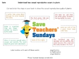 Sexual Reproduction in Plants Lesson Plan and Worksheets (