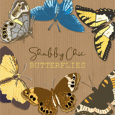 Shabby Chic Realistic Butterfly Clipart