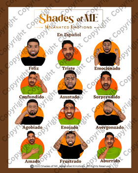 Preview of Shades of ME - Feelings Chart - Men of Color (Spanish)