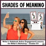 Shades of Meaning: Using Precise Vocabulary
