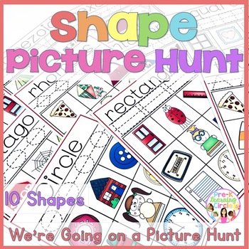 Preview of Shape Picture Hunt in Color