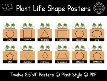 Preview of Shape Posters | Plant Life Posters | Plant Classroom | Botanical Classroom Decor