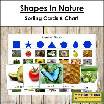 Preview of Shapes in Nature Sorting Cards & Control Chart - Primary Geometry