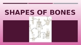 Shapes of Bones PowerPoint (skeletal system; anatomy & phy