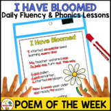 End of the Year Poem | Poem of the Week for Shared Reading