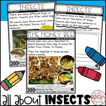 Insects Reading Passages | Insects Kindergarten | Insects and Bugs