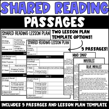 One day lesson plan template