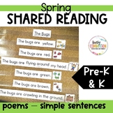 Shared Reading Pocket Chart Poems & Simple Sentences for SPRING 