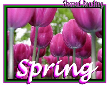 Preview of Shared Reading Poetry: Spring (SMARTboard, Gr 1-2)
