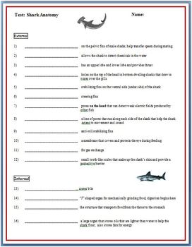 Preview of Shark Anatomy Worksheet & Test [Structures and Functions]