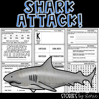 Summer Math: Addition Facts Magnetic Fishing Activity - Shark Attack! 100  Facts