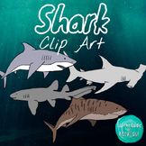 Shark Clip Art