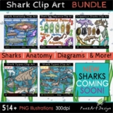 Shark Clip Art BUNDLE, Realistic Animal & Science Graphics