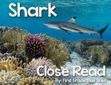Shark Close Read
