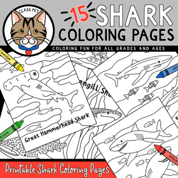 Preview of Shark Coloring Pages