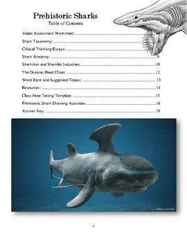 THE SHARKS EVOLVE