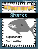 Shark Explanatory Text Writing