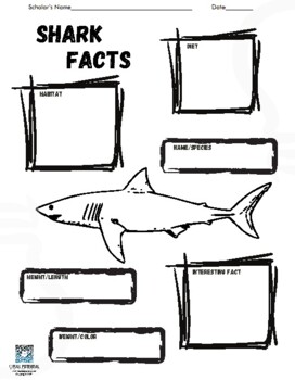 Preview of Shark Facts