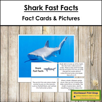 Shark Fast Facts - Montessori Zoology Cards & Pictures by Montessori ...