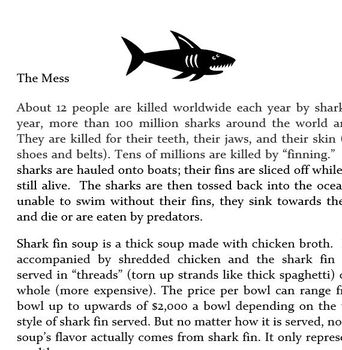 shark fin soup essay