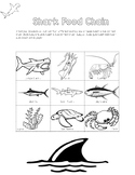 Shark Food Chain