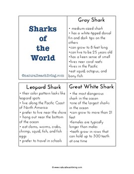 Preview of Shark Information Cards