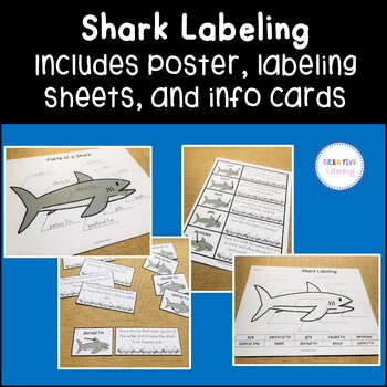 Shark Labeling Activities by Dinosaurs and Fairy Dust | TPT