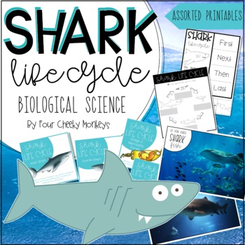 Preview of Shark Life Cycle | Biological Science Activities and Printables