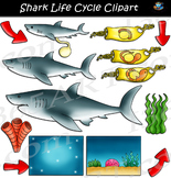 Shark Life Cycle Clipart - Great White Shark