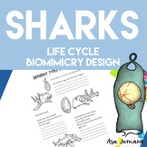 Shark Life Cycle Oviparous | Biomimicry Design Nature Compatible with NGSS