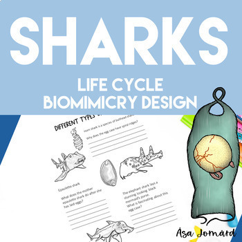 Preview of Shark Oviparous | Life Cycle Project | Biomimicry Design Activities | Nonfiction