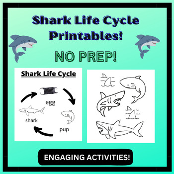 Shark Life Cycle Word Wall  Life cycles, Word wall, Free