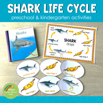Shark Life Cycle Word Wall  Life cycles, Word wall, Free