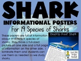Shark Posters - Information Sheets for 19 Species