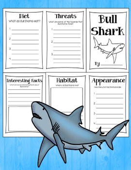 Shark Research Books by Casey Wiggins | TPT