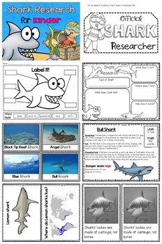 Shark Research for Kinder by Kindergarten Lifestyle | TpT