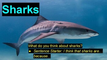 Preview of Shark Slideshow - Distance Learning - Grades 1-5