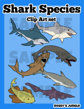 Preview of Shark Species